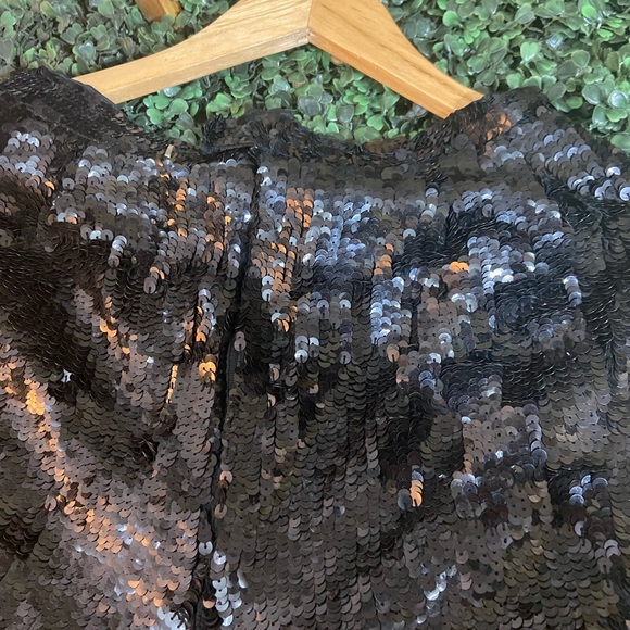 Cache Sequins Shorts - Picture 4 of 10